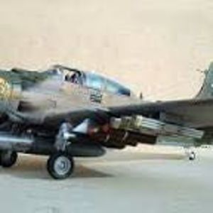 Meet your Posher, Marion douglas